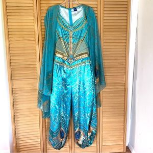 Adult size medium, Disney Princess Jasmine, live action Halloween costume